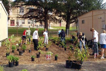 Environmental Education